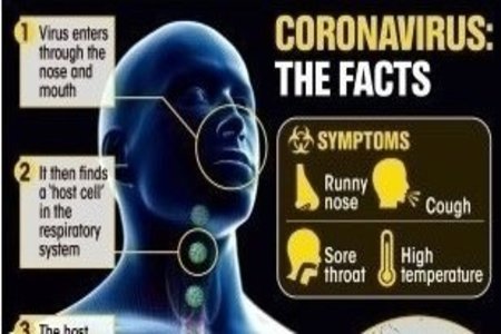 triệu chứng bệnh do corona virus