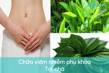 chua_viem_nhiem_phu_khoa_tai_nha chữa viêm nhiễm phụ khoa tại nhà