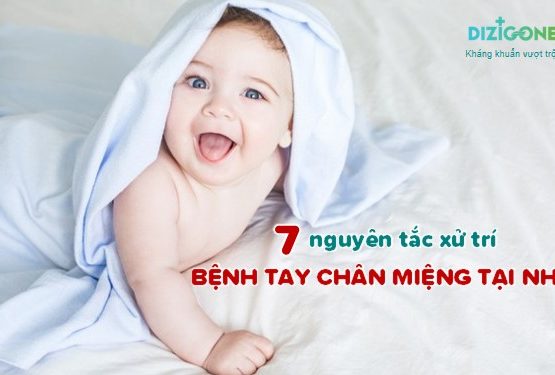 7 nguyên tắc chữa bệnh tay chân miệng tại nhà hiệu quả nhất 7 nguyên tắc chữa bệnh tay chân miệng tại nhà hiệu quả nhất