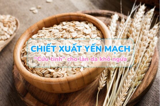 Chiết xuất yến mạch – “Cứu tinh” cho làn da khô ngứa, nhạy cảm