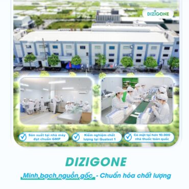 DIZIGONE: Chuẩn hóa sản xuất – Đảm bảo chất lượng