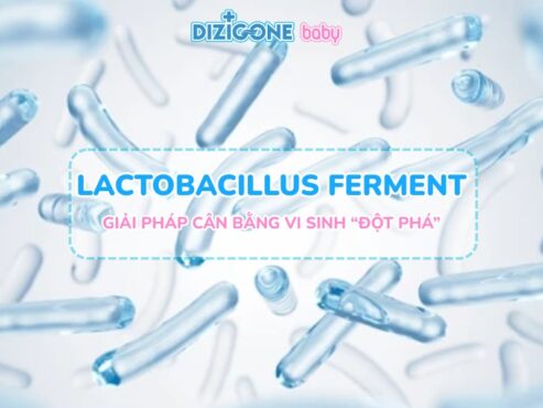 Khám phá Lactobacillus Ferment: Giải pháp cân bằng hệ vi sinh “đột phá” cho da