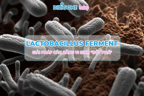 Khám phá Lactobacillus Ferment: Giải pháp cân bằng hệ vi sinh “đột phá” cho da