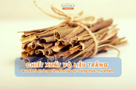 Vỏ liễu trắng và vai trò kháng viêm trong các công thức mỹ phẩm